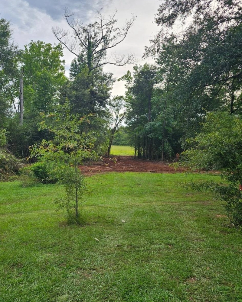 Demolition project in Northeast Alabama